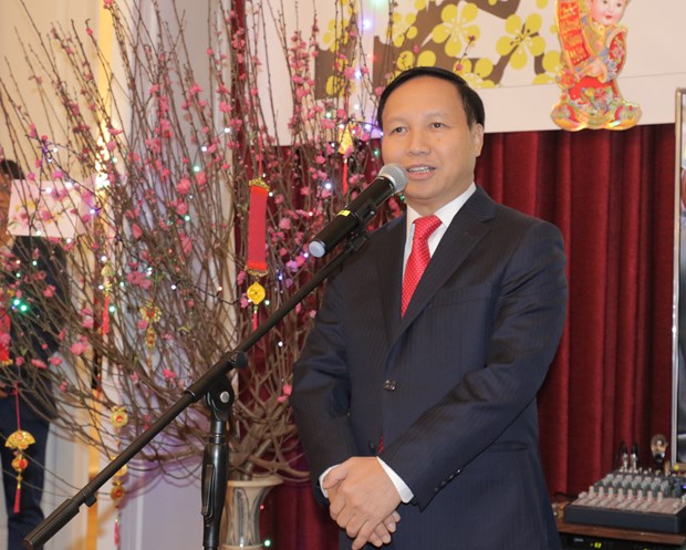 Vietnamese in Russia, Chile celebrate traditional Lunar New Year hinh anh 1