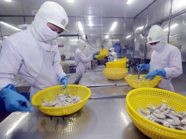 Shrimp export expected to top 4 billion USD in 2019 hinh anh 1