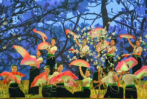 Ban Flower Festival 2019 to be held in Dien Bien in March hinh anh 1