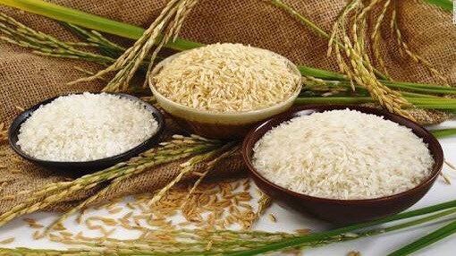 FAO supports Indonesia in organic rice production hinh anh 1