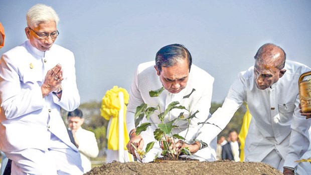 Thai PM plants sapling of sacred Sri Maha Bodhi Tree hinh anh 1