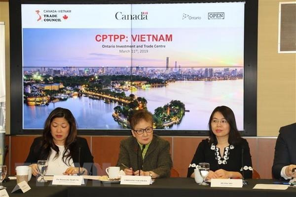 CPTPP helps drive Canadian firms’ interest to Vietnam hinh anh 1