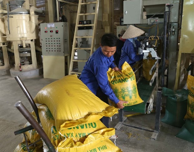 Rice firms face bankruptcy amid trade difficulties hinh anh 1