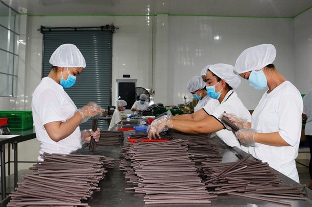 VN-made, eco-friendly straws popular with importers hinh anh 1