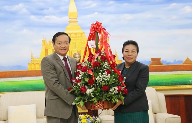 Vietnamese Ambassador congratulates Laos on Party founding anniversary hinh anh 1