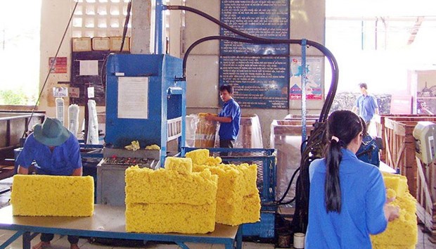 Rubber industry faces falling export price hinh anh 1