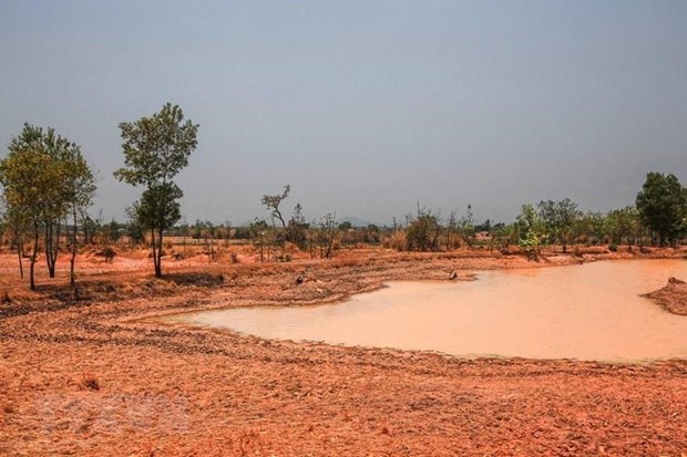 Over 67,160 ha of land threatened by drought, saline intrusion hinh anh 1