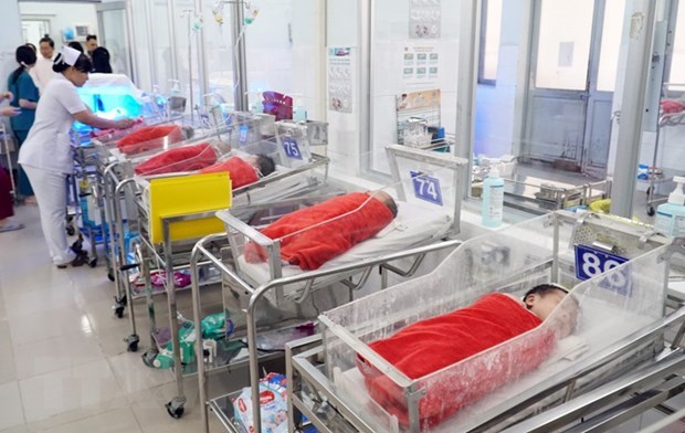HCM City wants better training for obstetrics, paediatrics doctors hinh anh 1