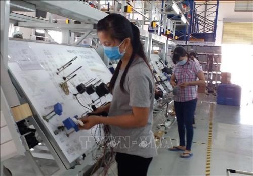 Ba Ria-Vung Tau: Investment inflow surges in Quarter 1 hinh anh 1