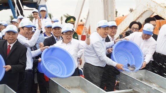 Efforts made to restore aquatic resources in Gulf of Tonkin hinh anh 1