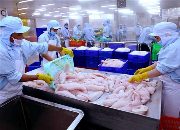 Fisheries sector required to continue improving product quality hinh anh 1