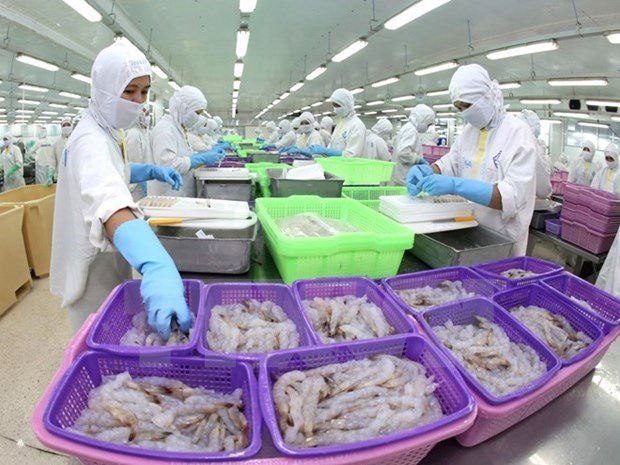 Vietnamese shrimp exporters to US to enjoy zero tariffs hinh anh 1