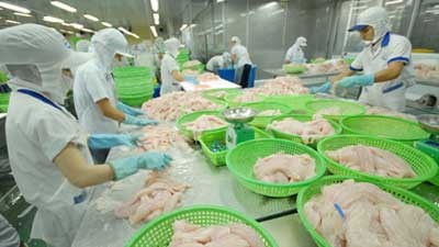 Vietnam's tra fish exports to UK up almost 70 percent in value hinh anh 1
