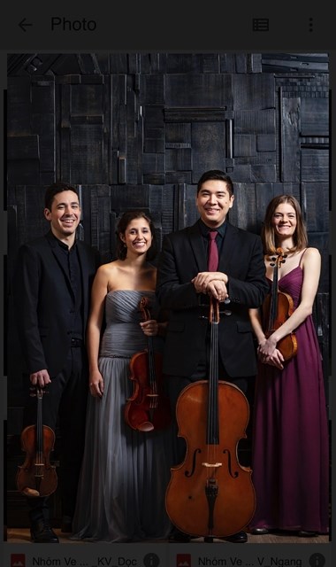 Vera Quartet to perform in Vietnam for the first time hinh anh 1