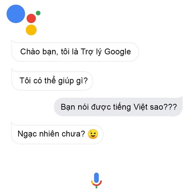 Google launches AI Assistant in Vietnamese hinh anh 1