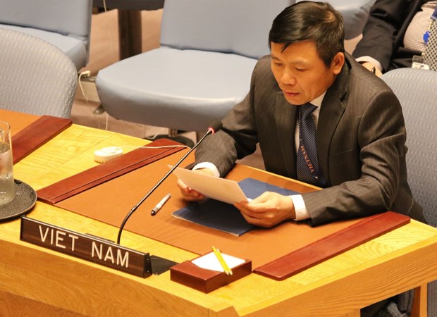 Vietnam calls for training, building UN peacekeeping forces hinh anh 1