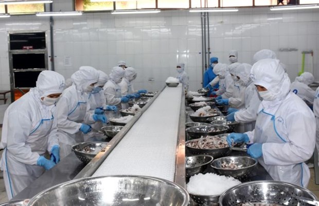 Seafood processing companies lacks skilled labourers hinh anh 1