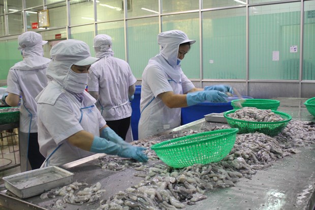 Seafood exporters advised to boost links with Chinese restaurants, hotels hinh anh 1