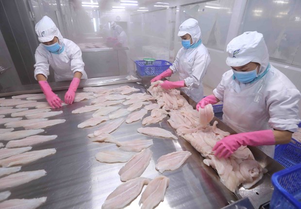 Japan among top 10 importers of Vietnam’s tra fish for first time hinh anh 1