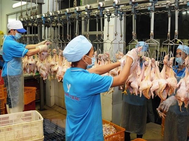 Thai firm to export poultry products by 2020 hinh anh 1