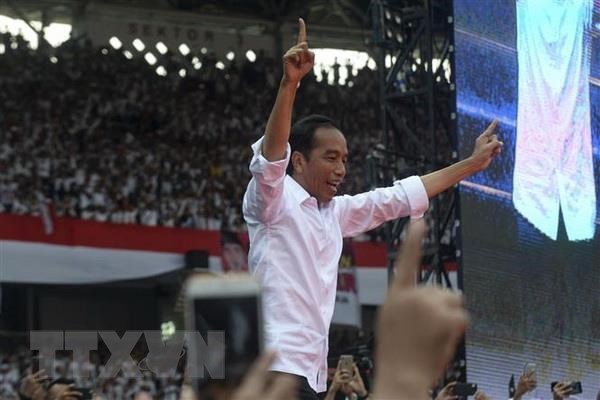 Widodo declares victory in presidential election in Indonesia hinh anh 1