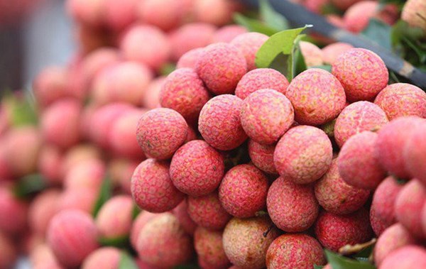 Thanh Ha litchi festival kicks off in Hai Duong province hinh anh 1