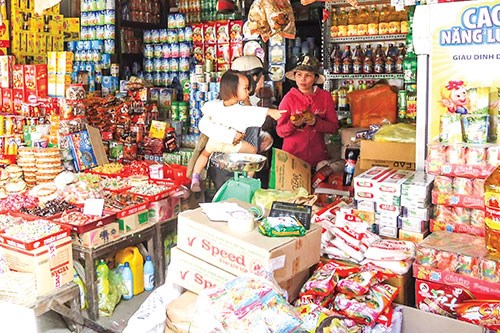 Trading households hesitant to become firms in Mekong Delta hinh anh 1