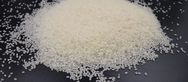 Hanoi seeks to export Japonica rice hinh anh 1