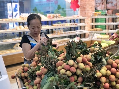 Saigon Co.op takes northern lychees around the country hinh anh 1