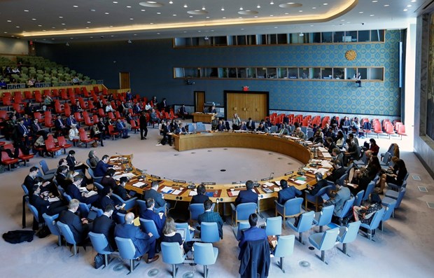 Vietnam quite able to shoulder UNSC non-permanent membership: diplomats hinh anh 1