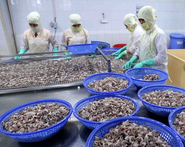Firms urged to be more active under FTAs’ pressure hinh anh 1