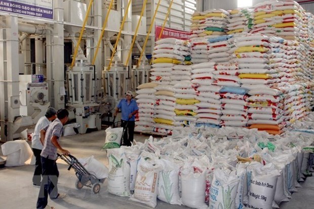 Asian rice market: demand remains low in Vietnam, Thailand, India hinh anh 1