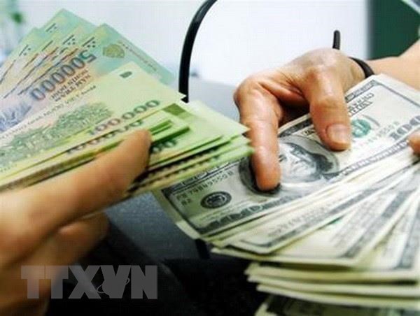 Reference exchange rate goes down by 3 VND on June 25 hinh anh 1