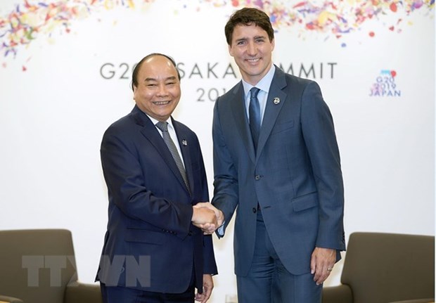 PM meets world leaders on sidelines of G20 Osaka Summit hinh anh 1