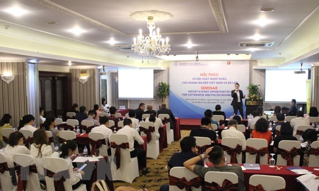 Vietnam, Poland boast substantial potential for cooperation: workshop hinh anh 1