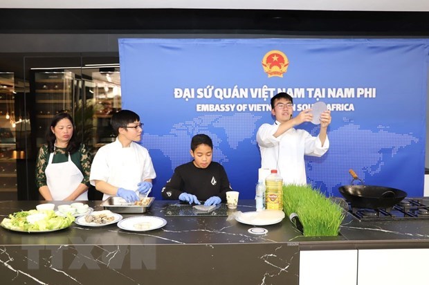 Vietnam makes active contributions to ASEAN Festival Day in South Africa hinh anh 1