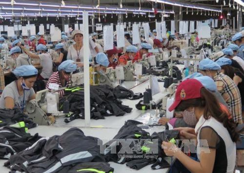 EVFTA to help improve Vietnam’s competitiveness: researcher hinh anh 2