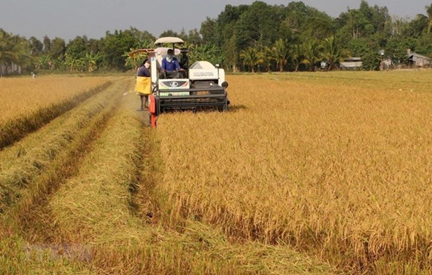 ODA for agricultural development nears 2 billion USD in 20 years hinh anh 1