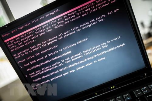 Over 3,100 cyber attacks hit Vietnam in six months hinh anh 1