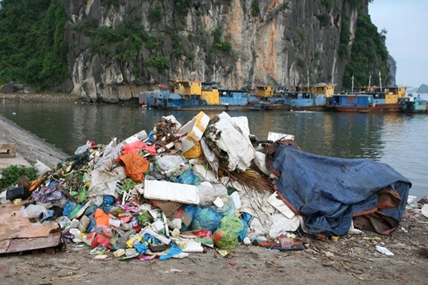 Tourism sector fights against plastic waste hinh anh 1