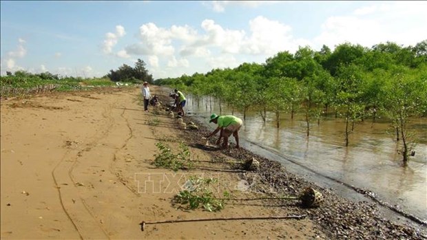 Tra Vinh spends 62 billion VND to support Khmer community hinh anh 1