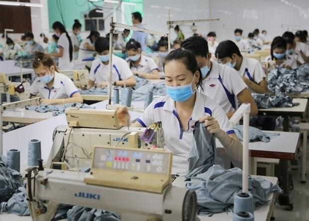Labour market records positive figures in six months hinh anh 1