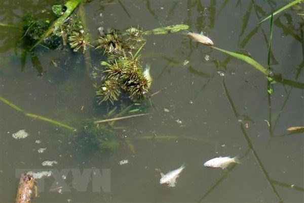 Phu Tho: firm fined for polluting environment hinh anh 1