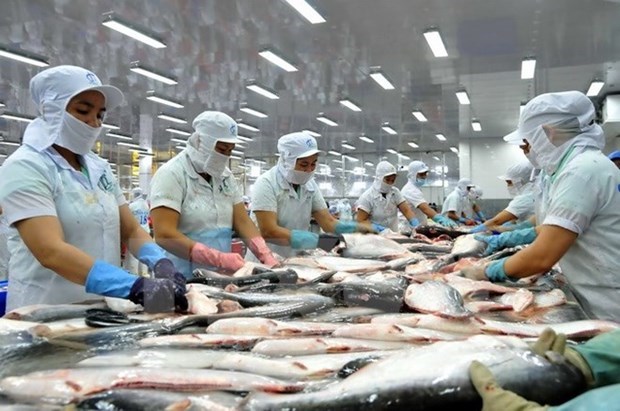 Tra fish exports to Southeast Asia rise 14.6 percent hinh anh 1