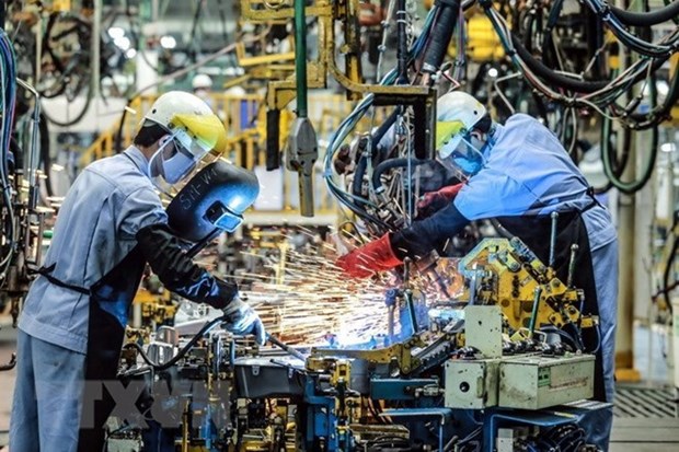 IMF forecasts Vietnam’s economy to grow by 6.5 percent in 2019 hinh anh 1