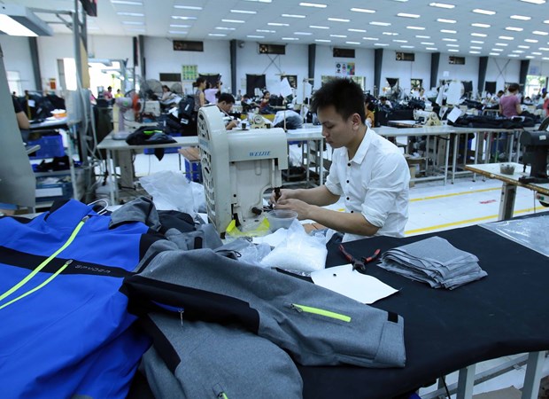 Firms have high hopes on EVFTA hinh anh 1