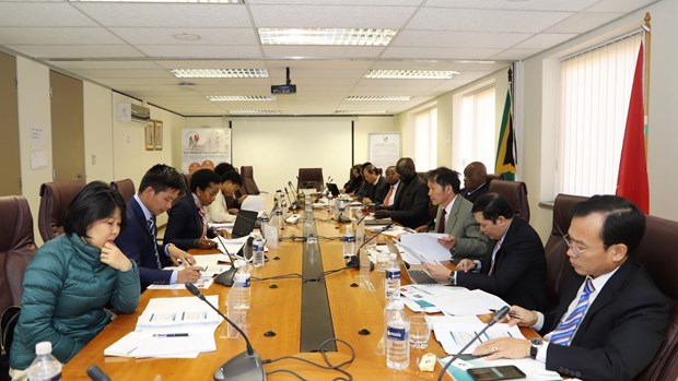Vietnam, South Africa to boost social security cooperation hinh anh 1