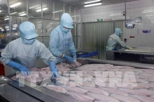 Tra fish firms report sharp rises in second quarter earnings hinh anh 1