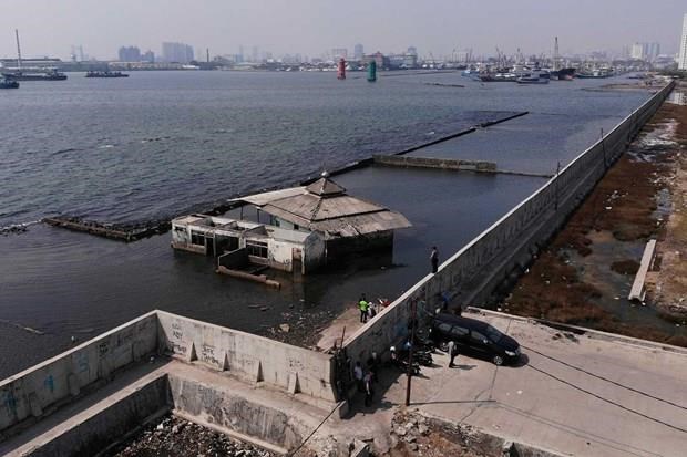 Indonesia considers building giant sea wall hinh anh 1