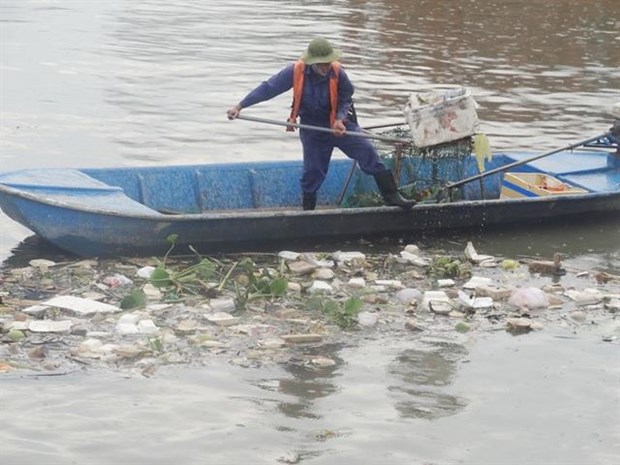 HCM City takes steps to reduce pollution in canal networks hinh anh 1